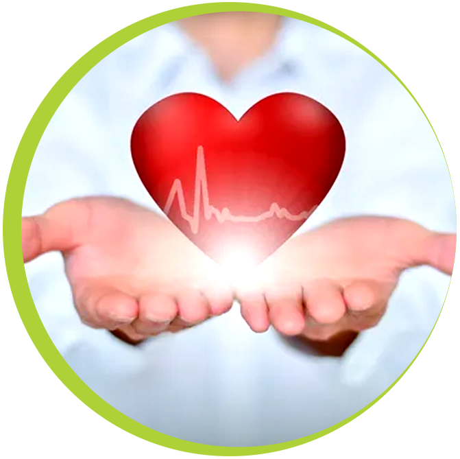 Heart